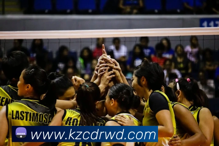 问鼎娱乐平台生态图